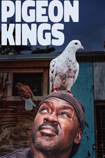 Pigeon Kings